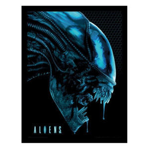 obraz Alien - Vetřelec - Head-Blue - PYRAMID POSTERS - FP11342P